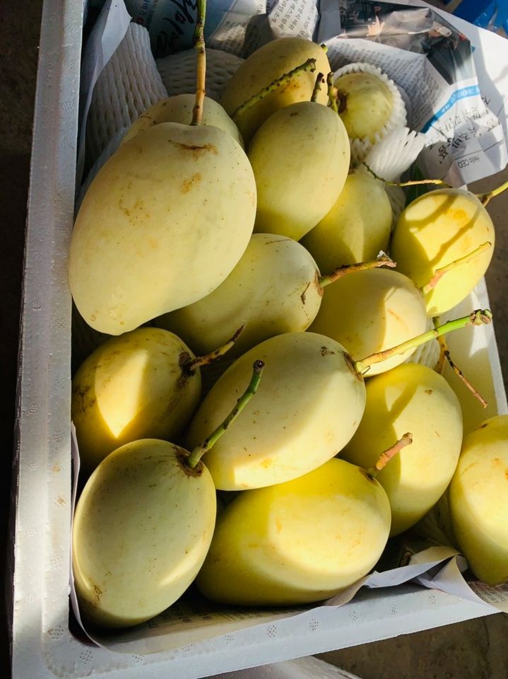 6123c13fdca354.26824383